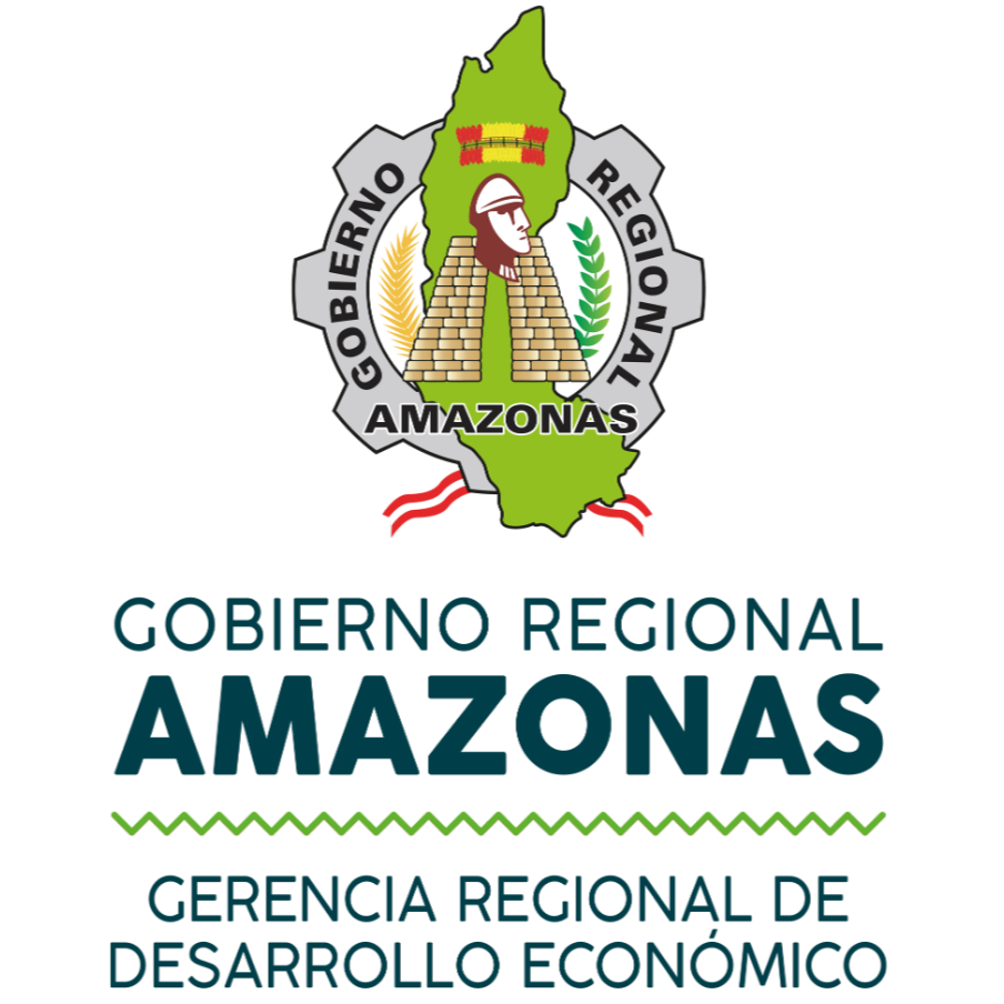 Gobierno Regional Amazonas